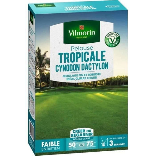 Semi di erba marina VILMORIN Les Tropicales Cynodon Dactylon - 500 g