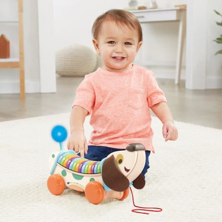 VTECH BABY - Il mio cane interattivo ABC (giocattolo in legno FSC)