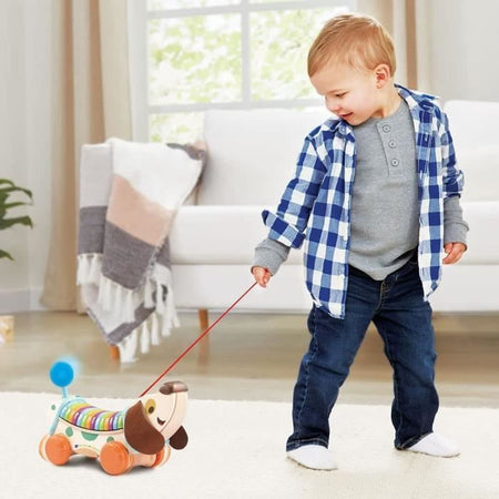 VTECH BABY - Il mio cane interattivo ABC (giocattolo in legno FSC)