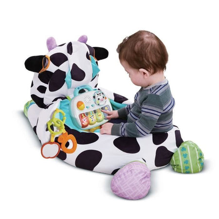 PISCINA CON SFERE MUSICALI IN PELUCHE MAXI VTECH