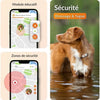 Tracker GPS per cani - Weenect XS (White Edition 2023)