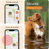 Tracker GPS per cani - Weenect XS (Black Edition 2023)