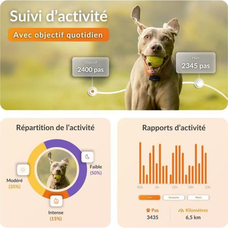 Tracker GPS per cani - Weenect XS (Black Edition 2023)