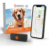 Tracker GPS per cani - Weenect XS (Black Edition 2023)