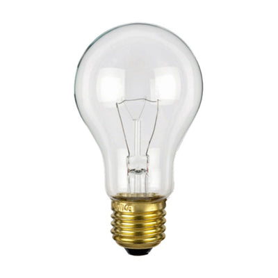 Lampadina Incandescenza 12V E27 25Watt 55*95mm