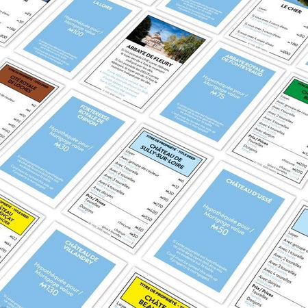 MONOPOLY Chateaux de la Loire - Gioco da tavolo - WINNING MOVES