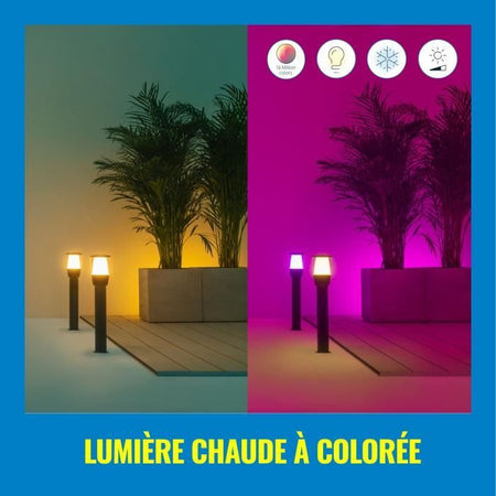 Starter kit terminale connesso da esterno WIZ ELPAS 12V - Girandole - Alluminio - LED integrato - Nero