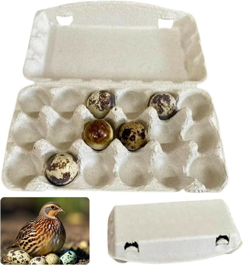 50x Confezioni da 18 Uova di Quaglia In Cartone Con Coperchio Portauova da Materiale Riciclato