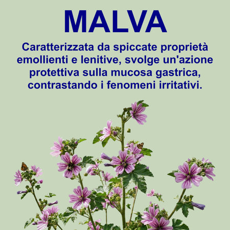 Gastronelle Integratore Alimentare per Gastrite e Reflusso - 60 Gommose Gusto Limone con Malva e Avena - Azione e Protettiva della Mucosa Gastrica