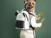 ambientata-wild-bag-panda-600x450