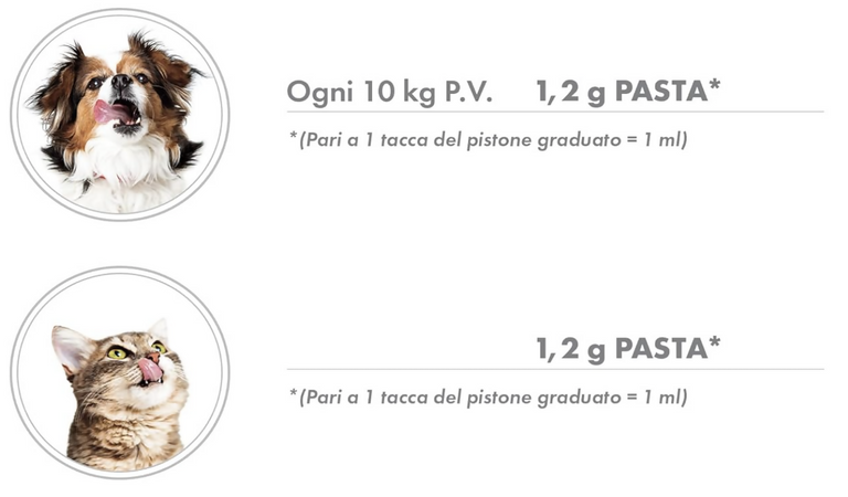 Screenshot 2025-05-20 alle 16.33.12