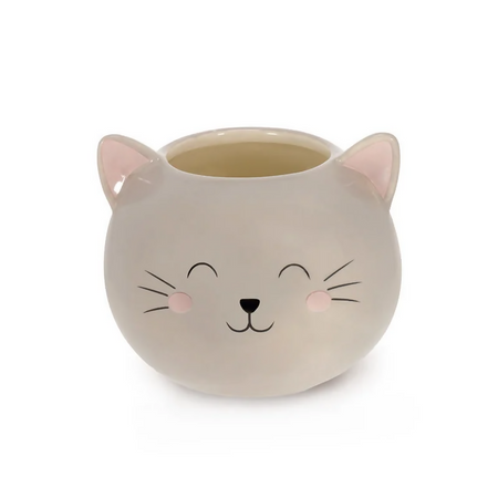 gatto 2