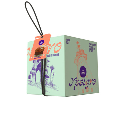 Panettone Ypsigro | Lievitazione naturale 36 ore | Fiasconaro, Sicilia | 750g