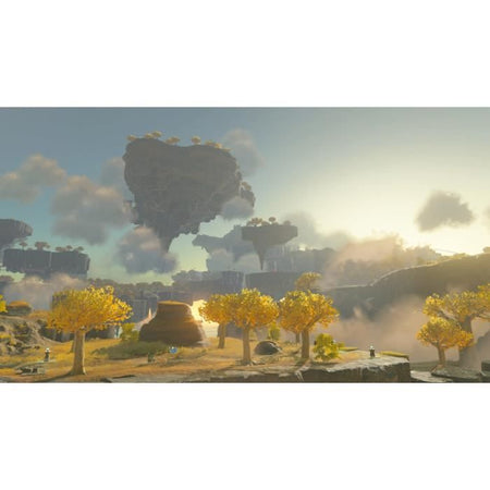The Legend of Zelda: Tears of the Kingdom - Standard Edition  Nintendo Switch Game