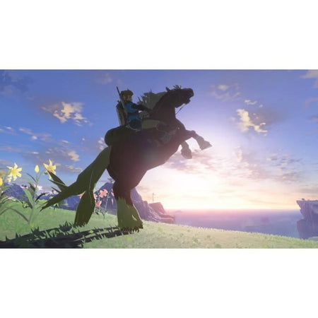 The Legend of Zelda: Tears of the Kingdom - Standard Edition  Nintendo Switch Game