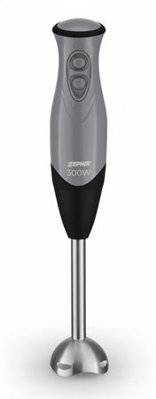 ZEPHIR FRULLATORE AD IMMERSIONEIN ACCIAIO 2 VELOCITA' 300W ZHC84