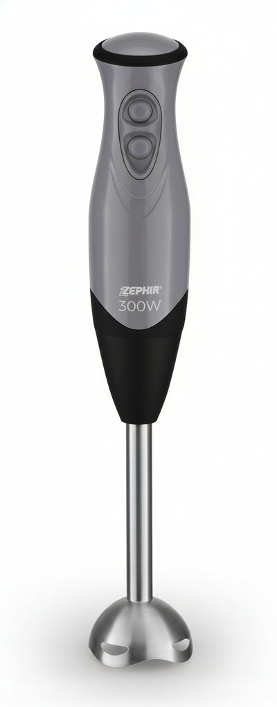 ZEPHIR FRULLATORE AD IMMERSIONEIN ACCIAIO 2 VELOCITA' 300W ZHC84