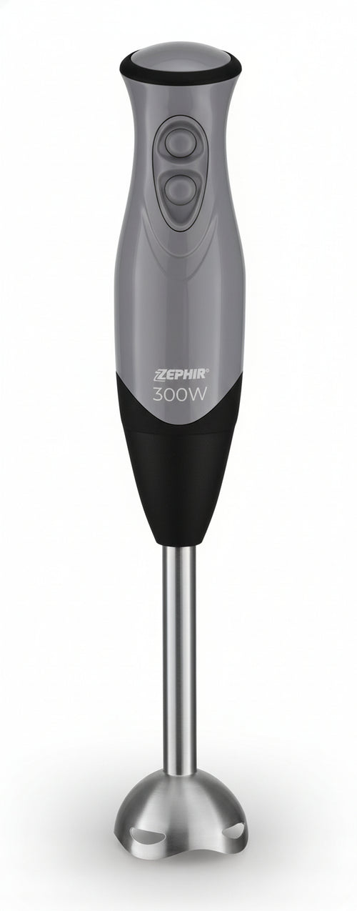 ZEPHIR FRULLATORE AD IMMERSIONEIN ACCIAIO 2 VELOCITA' 300W ZHC84
