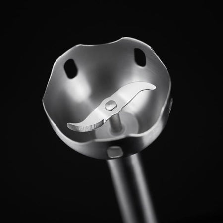 RUSSELL HOBBS 24690-56 Frullatore per desideri - 500 W - Rosso intenso