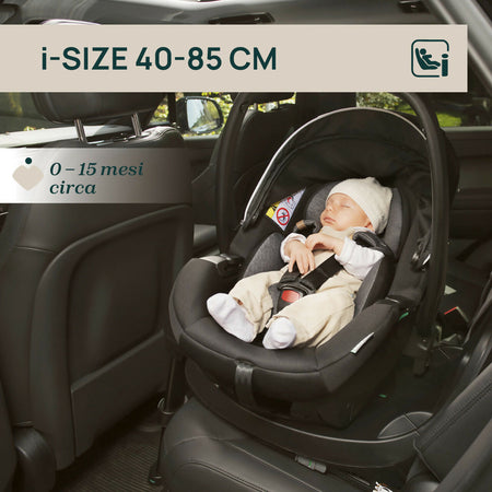 07087146330000_733_087146_733_KORY_PLUS_OUTDOOR_FIR_TREE_ITA_1280x1280