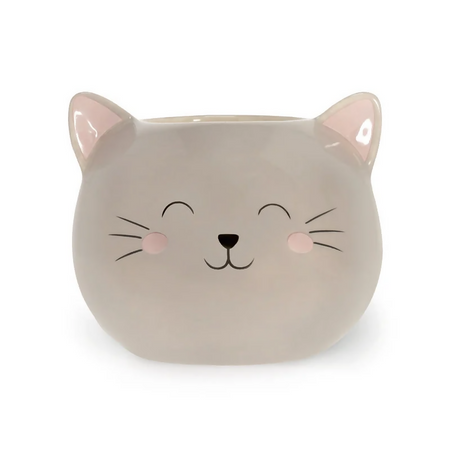 gatto