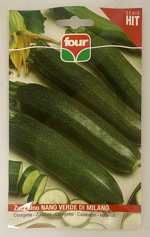 Zucchino Nano Verde Di Milano