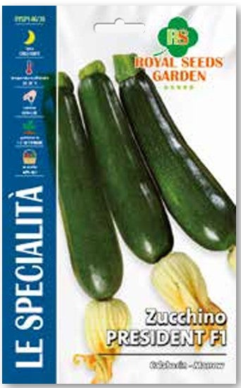 Zucchino President F1