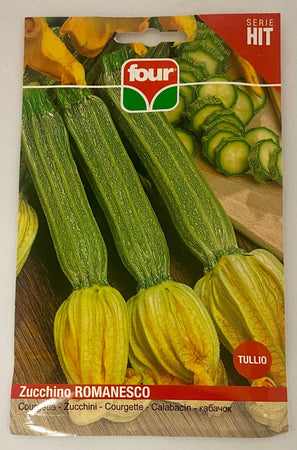 Zucchino Romanesco