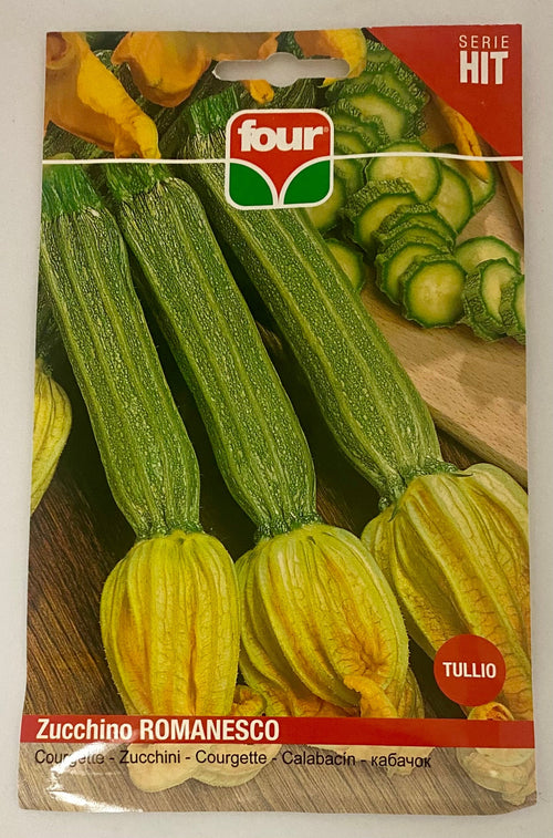 Zucchino Romanesco