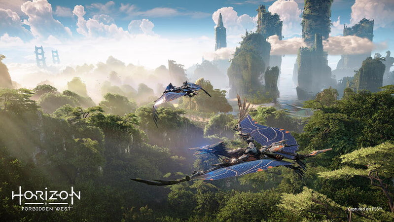 Horizon Forbidden West PS5 CZ/HU/SK Usato