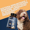 360-pet-1