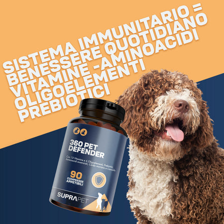 360-pet-1