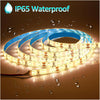 LED STRIP 3528 BIANCO CALDO 12V