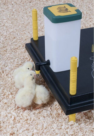 Abbeveratoio-a-goccia-con-serbatoio-da-1-Litro-per-pulcini