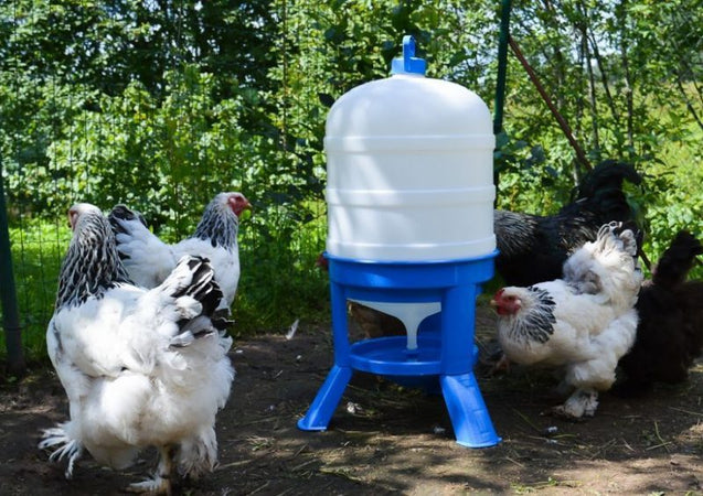 Abbeveratoio-a-serbatoio-in-plastica-da-40-Litri