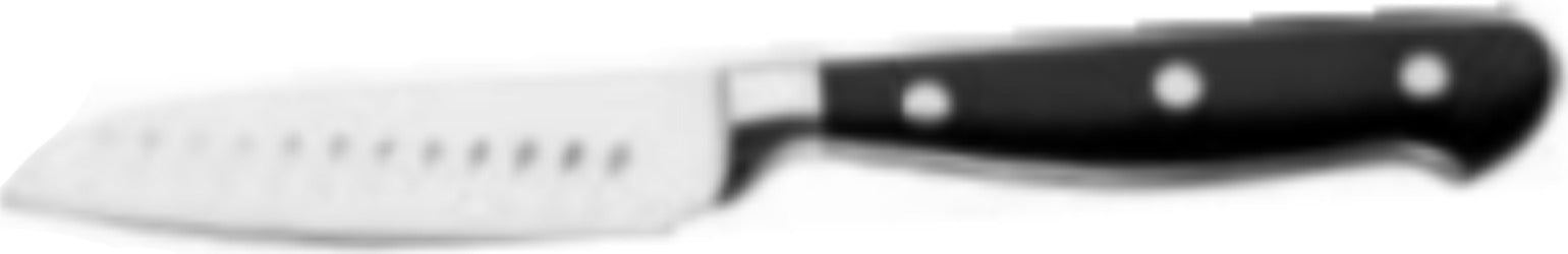 ABERT---COLTELLO-PROFESSIONALE-FORGIATO---PER-FRUTTA---LAMA-8,8CM