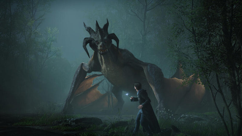 Hogwarts Legacy PS5 UK2 Usato