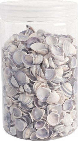 Accessorio-decorativo-Yes-Everyday-0207052-Conchiglie