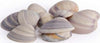 Accessorio-decorativo-Yes-Everyday-0207052-Conchiglie