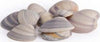 Accessorio-decorativo-Yes-Everyday-0207052-Conchiglie