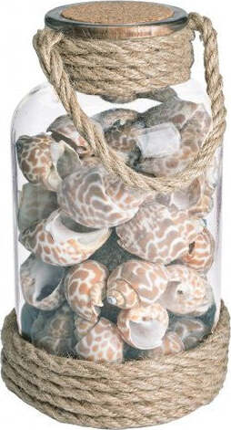 Accessorio-decorativo-Yes-Everyday-0209570-Bottiglia-con-Conchiglie