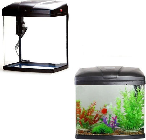 Acquario 4 Litri T190f Sistema Filtraggio Illuminazione 19x14x19 Cm 3w 300l/h Prodotti per animali > Prodotti per Acquari > Acquari e Terrari Trade Shop italia - Napoli, Commerciovirtuoso.it