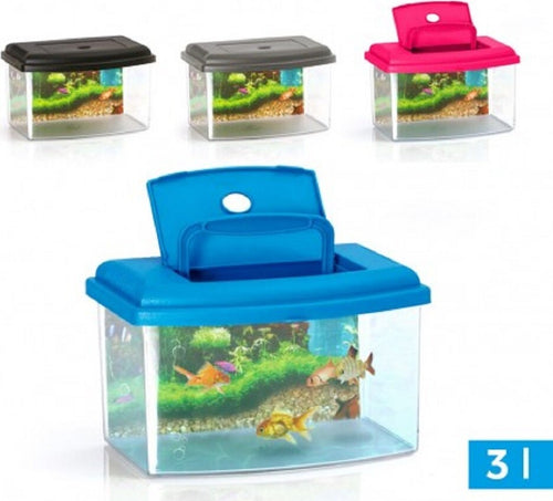 Acquario Rettangolare In Plastica Rigida 3 Litri Con Coperchio 22 X 16 X 14 Cm Prodotti per animali > Prodotti per Acquari > Acquari e Terrari Trade Shop italia - Napoli, Commerciovirtuoso.it