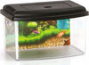 Acquario Rettangolare In Plastica Rigida 3 Litri Con Coperchio 22 X 16 X 14 Cm Prodotti per animali > Prodotti per Acquari > Acquari e Terrari Trade Shop italia - Napoli, Commerciovirtuoso.it