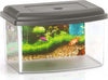Acquario Rettangolare In Plastica Rigida 3 Litri Con Coperchio 22 X 16 X 14 Cm Prodotti per animali > Prodotti per Acquari > Acquari e Terrari Trade Shop italia - Napoli, Commerciovirtuoso.it