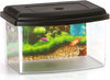 Acquario Rettangolare In Plastica Rigida 5,5 Lt Con Coperchio 28 X 20 X 17 Cm Prodotti per animali > Prodotti per Acquari > Acquari e Terrari Trade Shop italia - Napoli, Commerciovirtuoso.it