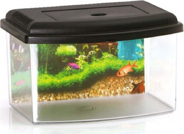 Acquario Rettangolare In Plastica Rigida 5,5 Lt Con Coperchio 28 X 20 X 17 Cm Prodotti per animali > Prodotti per Acquari > Acquari e Terrari Trade Shop italia - Napoli, Commerciovirtuoso.it