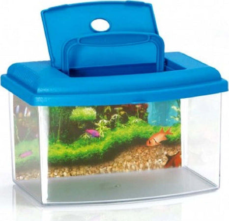 Acquario Rettangolare In Plastica Rigida 5,5 Lt Con Coperchio 28 X 20 X 17 Cm Prodotti per animali > Prodotti per Acquari > Acquari e Terrari Trade Shop italia - Napoli, Commerciovirtuoso.it