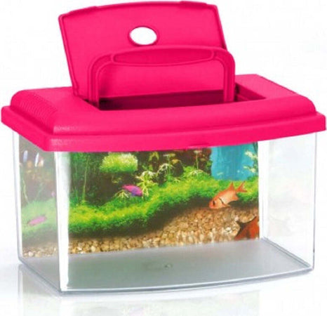 Acquario Rettangolare In Plastica Rigida 5,5 Lt Con Coperchio 28 X 20 X 17 Cm Prodotti per animali > Prodotti per Acquari > Acquari e Terrari Trade Shop italia - Napoli, Commerciovirtuoso.it