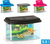 Acquario-Rettangolare-In-Plastica-Rigida-5,5-Lt-Con-Coperchio-28-X-20-X-17-Cm